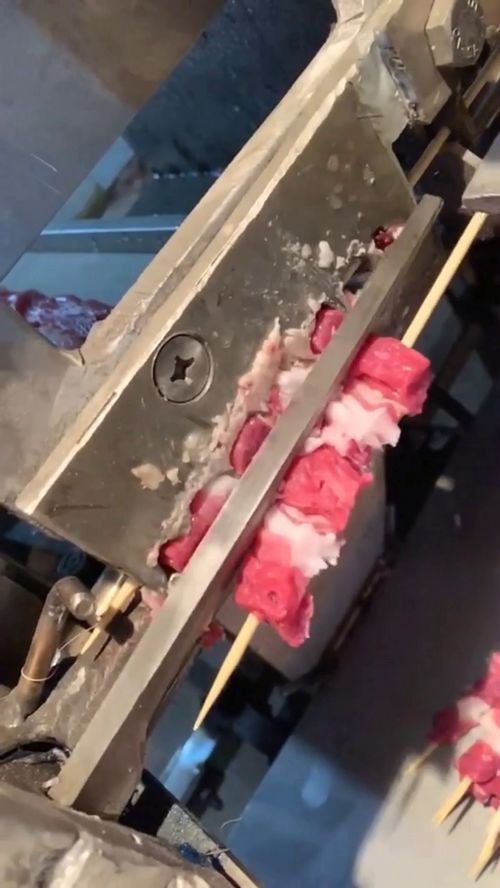 关于肉串加工厂的一些观察与思考
